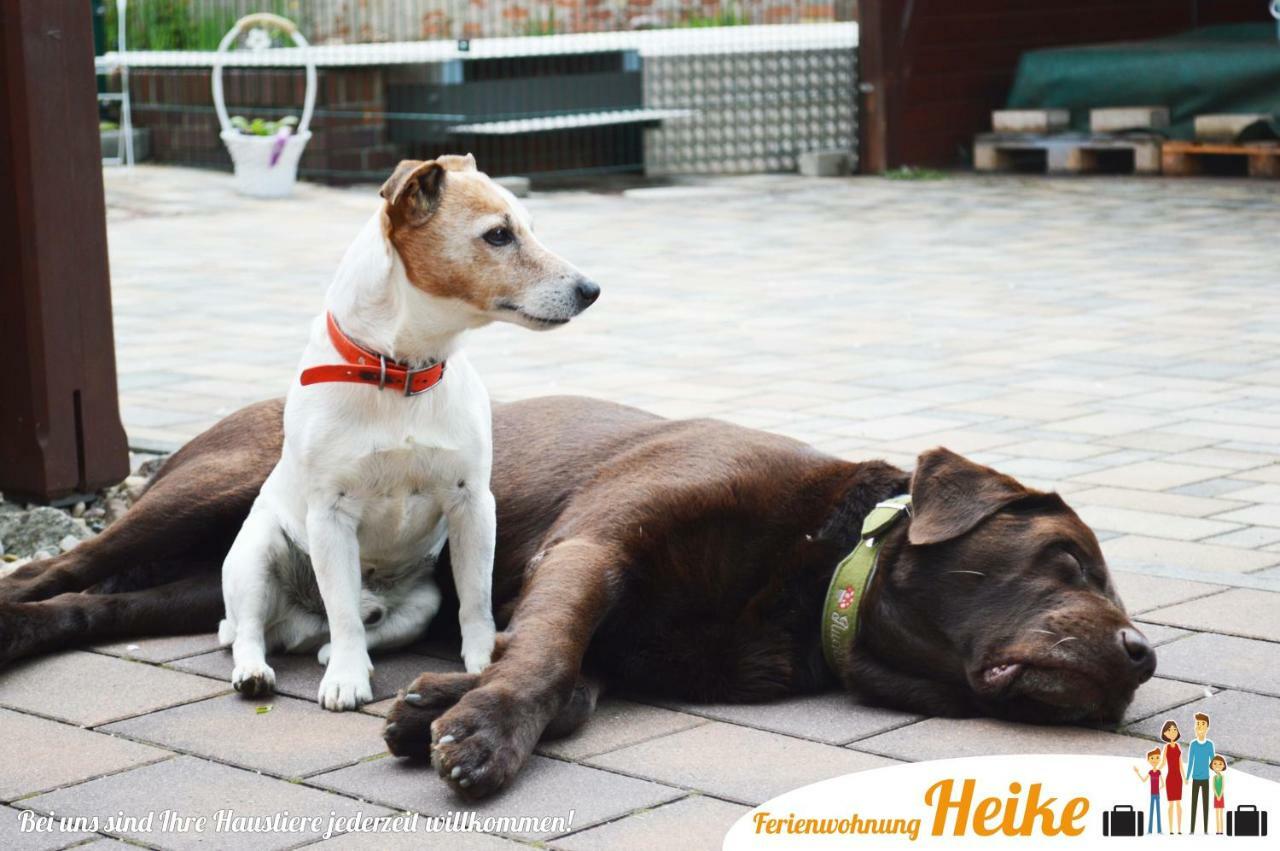 Ferienwohnung Heike Spremberg Ngoại thất bức ảnh
